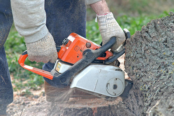 Best Soil Testing and Treatment  in Delaware, OH
